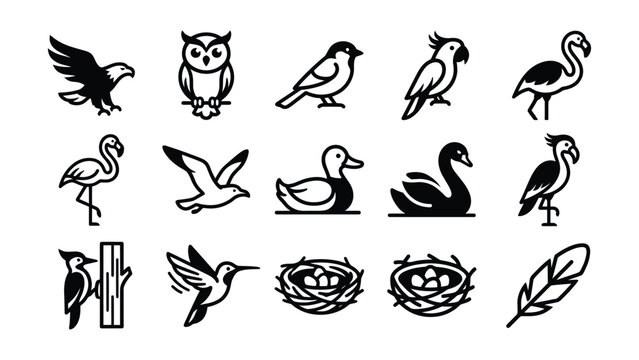 Collection of black line illustration birds and bird related icons transparent background