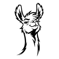 Fototapeta premium Stylized Black and White Llama Head Illustration.