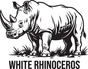 rhino on white background © Abdullah Al Mamun