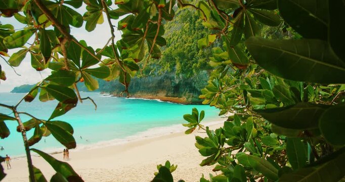 Lush foliage frames turquoise ocean and white sand at Kelingking Beach Bali Nusa Penida