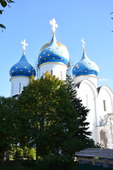 Tall church with blue domes surrounded by trees in a clear sky © Alexander