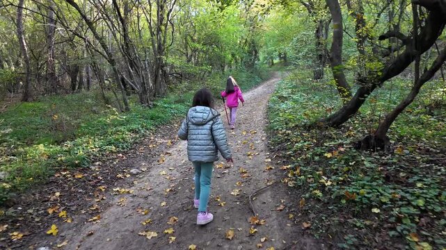 Two little girls walking through the forest. Hiking in mountain with walking sticks. Little discoverers