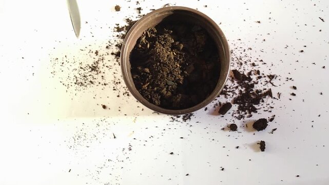 Flat lay of hand using small metal trowel to cover mango seed with soil in pot on neutral background. Illustrates food-to-plant transformation, low-waste propagation, and self-sufficient gardening.