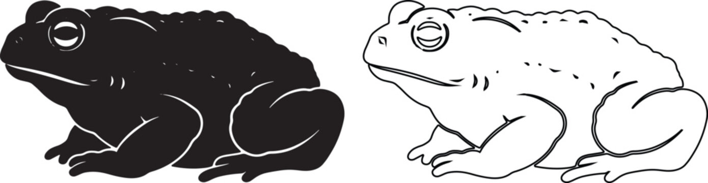 Vintage toad illustration set, black silhouette and line art frog vector, 2 amphibian elements for nature and biology education graphics isolated on Transparent Background