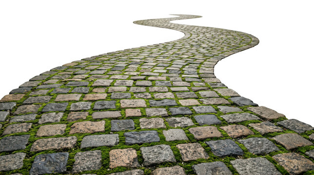 Winding cobblestone path with green moss growing between stones, isolated on transparent background