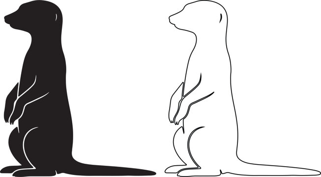 Meerkat silhouette and line art vector set, standing suricate animal icons, black and white wildlife illustration for nature logos isolated on Transparent Background