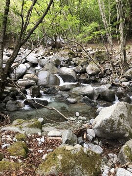 古道で清流に遭遇