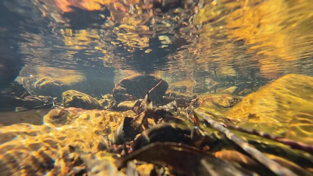 Underwater View of Sunlit Rocks in Clear Freshwater Creek