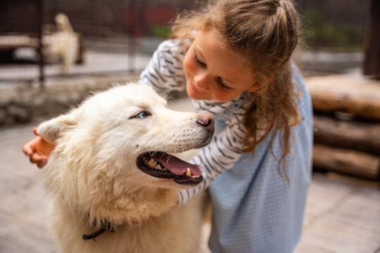 Young girl petting and hugging Siberian Husky dog outdoors. Child interaction with animal represents friendship, affection and emotional bond with pets