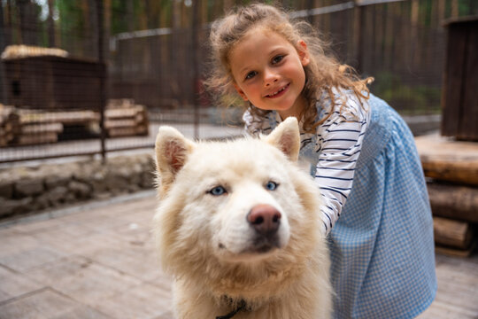 Young girl petting and hugging Siberian Husky dog outdoors. Child interaction with animal represents friendship, affection and emotional bond with pets