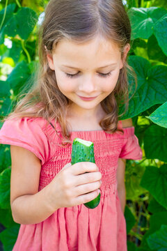 Young girl eating fresh cucumber in home greenhouse. Growing and eating vegetables encourages healthy childhood nutrition and connection with food origin
