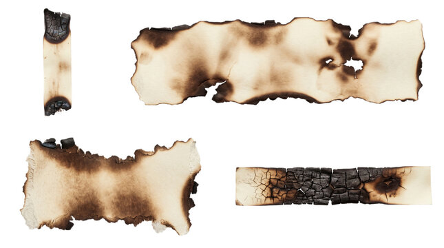 Set of Burnt Edge Paper Scraps and Fibrous Note Patches for Vintage Textures and Distressed Creative Design Projects