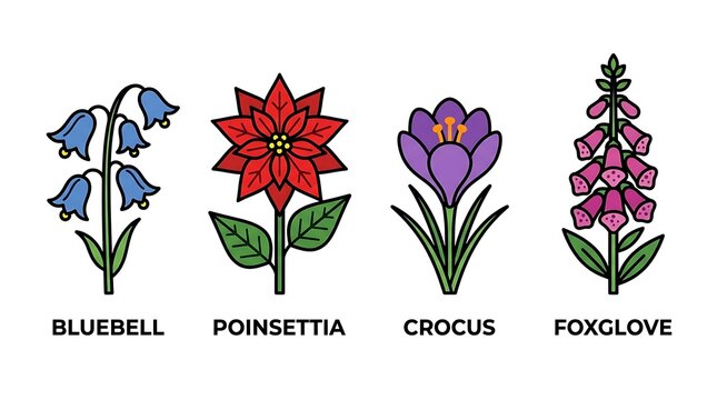 Set of four distinct flower icons featuring bluebell poinsettia crocus and foxglove designed in a simple flat vector style for botanical themes