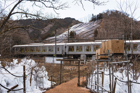 冬のあしがくぼの氷柱をバックに走り抜ける近代的な特急列車 埼玉県横瀬町