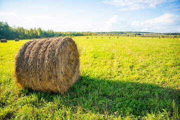 Large hay bale lies in a green field with more bales in the background. Haymaking and fodder...