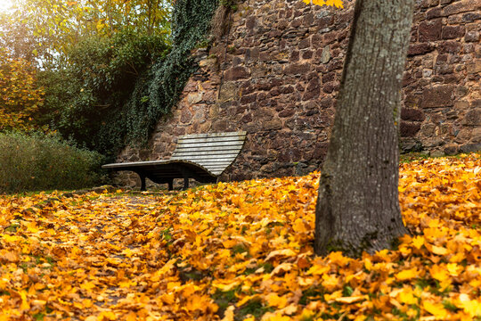 Empty wooden bench rests beside old stone wall surrounded by golden autumn leaves and mature trees. Quiet park corner with ivy, warm foliage and rustic textures creates peaceful seasonal atmosphere
