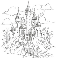 Fototapeta premium castle on the hill
