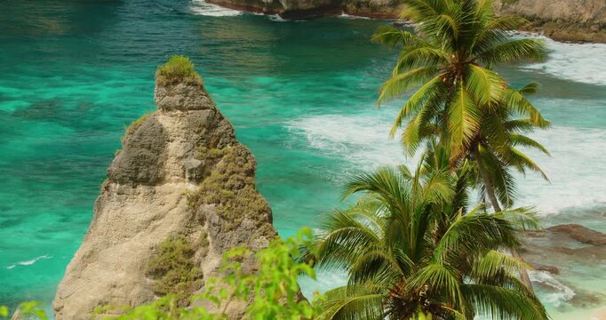 Palm trees frame rock peak in the turquoise water of Diamond Beach in Nusa Penida Bali
