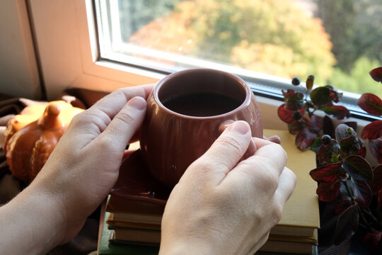 Autumn vibes. Hands holding mug of tea or black coffee near window. Woman drinking hot beverage. Warm cozy fall mood. 