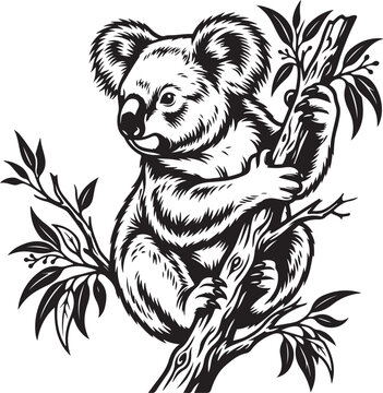 koala bear on tree