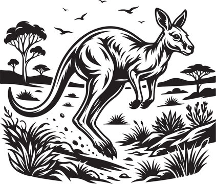kangaroo vector illustration