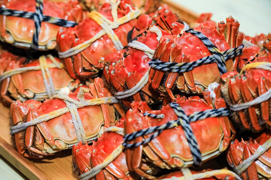 Steamed Hairy Crab Traditional Chinese Autumn Seafood Feast Close-up