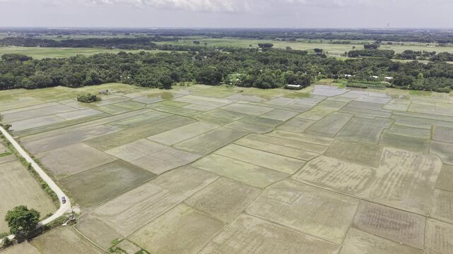 Drone footage shows recently prepared rice fields after plowing and before rice planting, with water-filled plots, muddy soil, distant homes, trees and open rural farmland under a cloudy sky.

