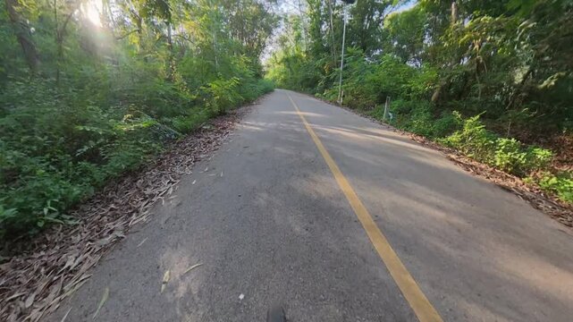 A smooth downward camera pan reveals a quiet forest road surrounded by dense green vegetation, tall trees and warm sunlight filtering through the canopy.