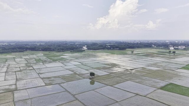 Ascending aerial footage reveals recently planted rice fields with young seedlings, water-filled plots, muddy soil, distant homes, trees, and the surrounding rural landscape below here.