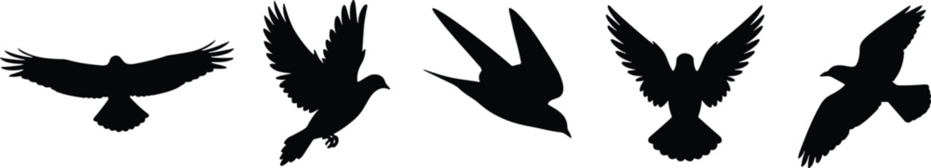 Fototapeta premium Flying Bird Silhouette Set Featuring Five Diverse Wing Positions and Dynamic Flight Poses on White Background