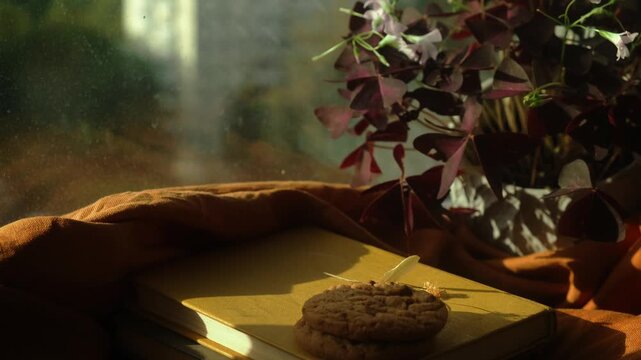 Autumn vibes. Person drinking black coffee or tea near window. Warm cozy fall mood. 