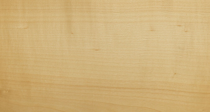 Maple wood surface showing natural grain