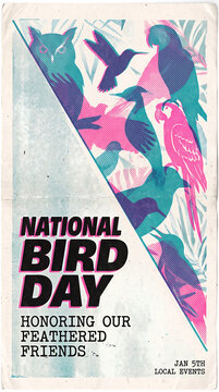 National Bird Day event poster design featuring silhouette illustrations of various wild birds and parrots with retro textures