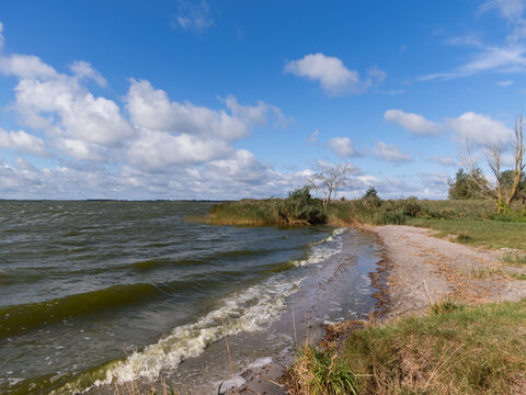 naturbelassene Landschaft am Saaler Bodden