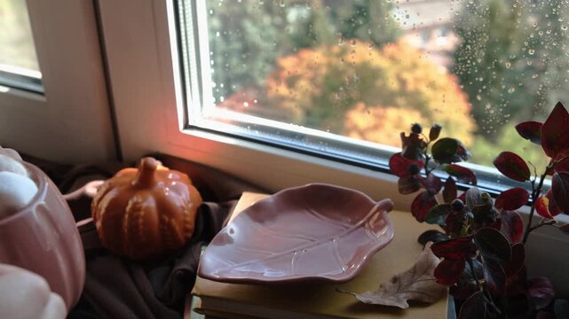 Autumn vibes. Woman drinking hot chocolate or cocoa with marshmallows near window. Warm cozy fall mood. 
