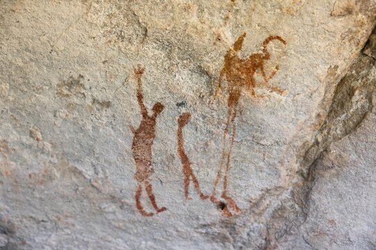 Prehistoric animal depictions, ancient rock carving of the San, indigenous people of South Africa, Seville Rock Art Trail, Cedar Mountains, Clanwilliam, Western Cape, Republic of South Africa