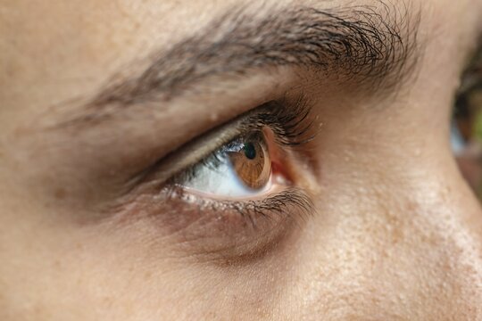 Eye, brown, macro, Germany