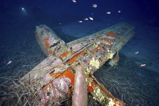 Rusty aircraft wreck under water with fish swimming around and seagrass, Neptune grass (Posidonia oceanica), dive site aircraft wreck Mustang P51, Giens peninsula, Provence Alpes C&ocirc;te d'Azur, France