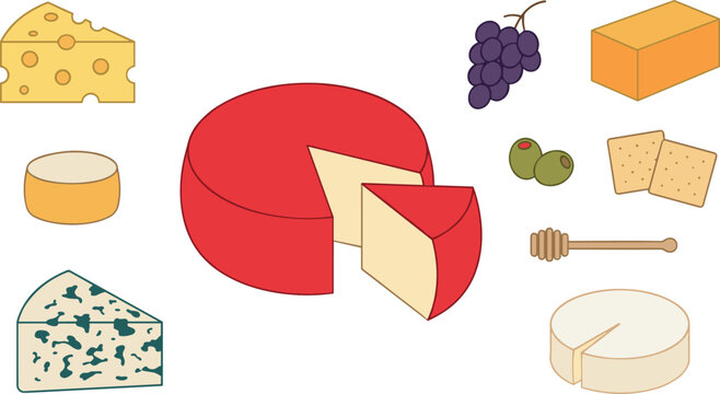Vector cartoon illustration set of different cheese varieties including gouda cheddar swiss blue cheese grapes crackers olives and honey dipper