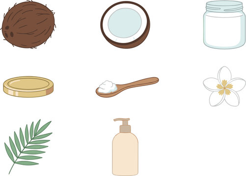 Vector cartoon illustration set of organic coconut products featuring whole nut half milk jar oil lotion spoon palm leaf flower