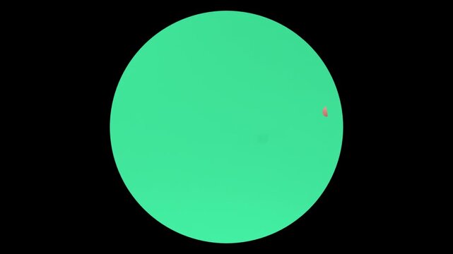Handshake Icon Animation