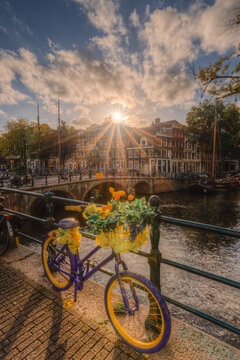 View of a purple and yellow bicycle decorated with flowers parked by a canal bridge with historic buildings in the background during golden hour in Amsterdam, North Holland, Netherlands.