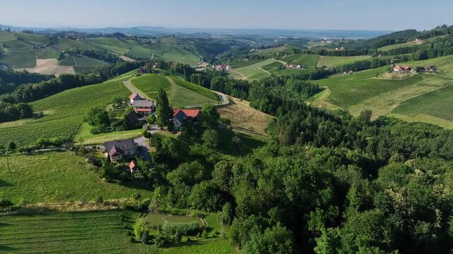 endless rows of lush green vineyards in Styria, Austria, casting golden hues on terraced slopes and distant Alps, timeless wine heritage, serene valleys bathed in warm light, perfect travel