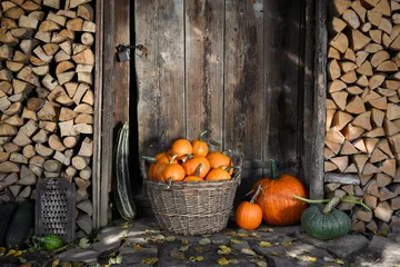 Pumpkin basket with gourds arranged beside weathered cabin doorway outdoors. Seasonal harvest composition with squash and rustic decor atmosphere © Ivan Kmit