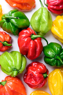Bright habanero peppers close up on white background with strong saturation and detail. Hot chili variety, fresh produce, macro food texture