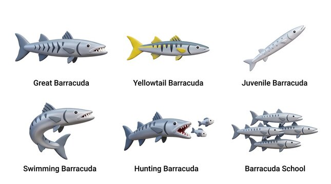 Collection of Cartoon Barracuda Fish Models in Various Styles and Poses for Educational or Marine Illustration