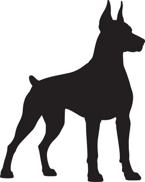 doberman pinscher dog silhouette vector illustration
