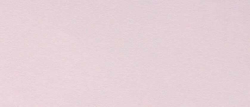Pale pink paper texture with fine fibers across a blank matte background in light pastel color