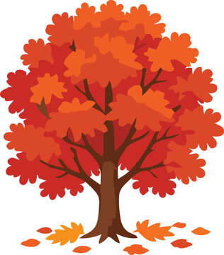 Autumn Maple Tree Vector Illustration with Colorful Orange, Red and Yellow Foliage, Seasonal Nature Design Isolated on White Background