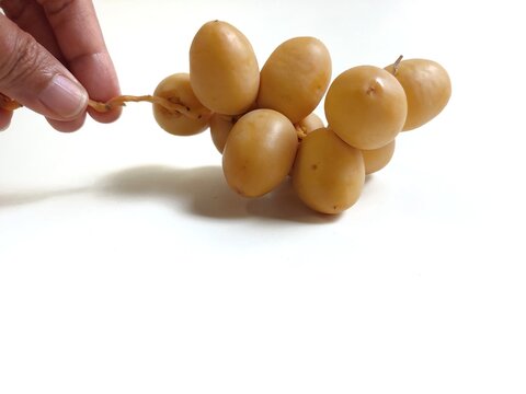Fresh young yellow dates fruit bunch held in hand on white background